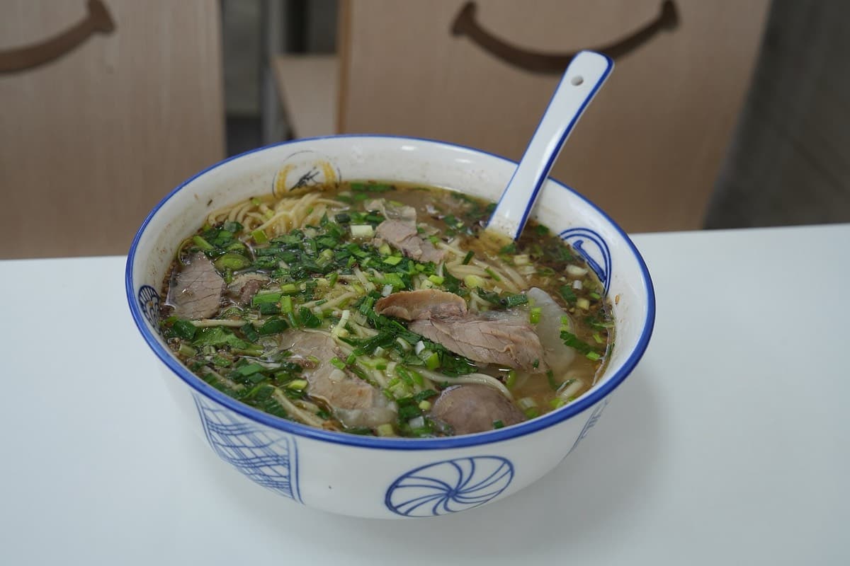 Vermicelles de riz ou nouilles au bœuf braisé — 牛肉米粉/面条